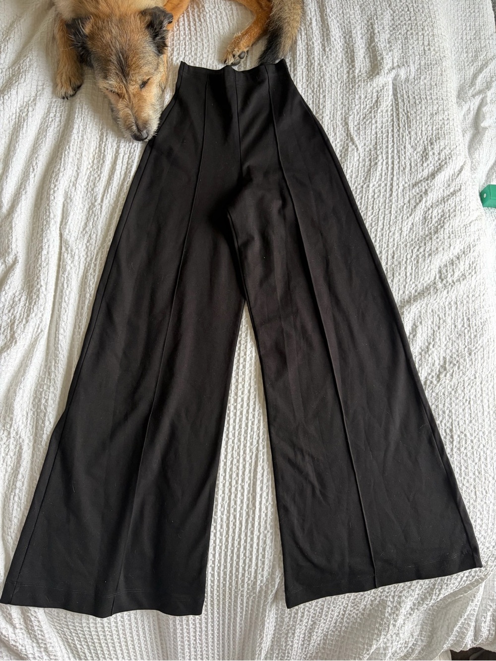 Ripley Rader High-Waist Wide Leg Pants - Black